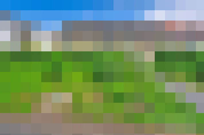  / #16