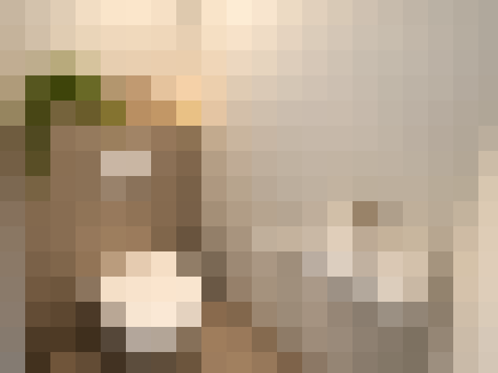  / #18