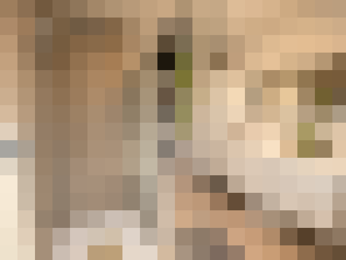  / #16