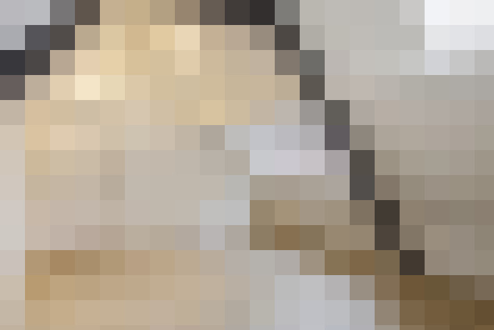  / #22