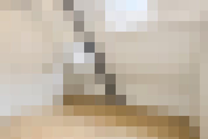  / #24