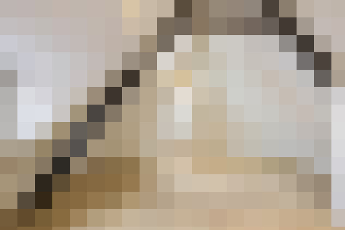  / #21