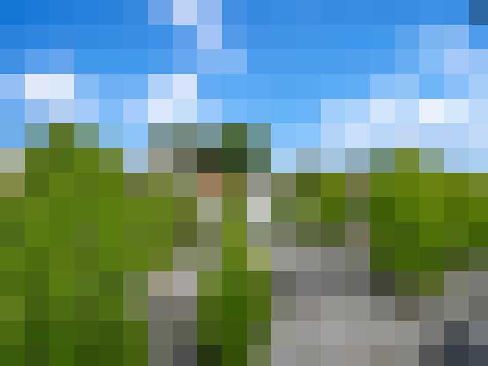  / #9