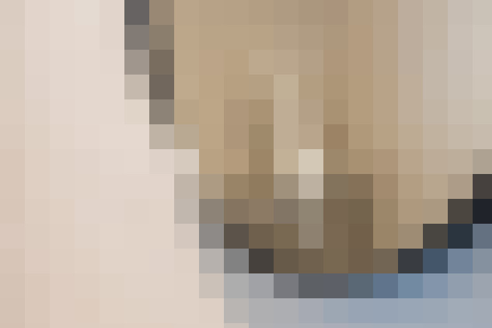  / #17
