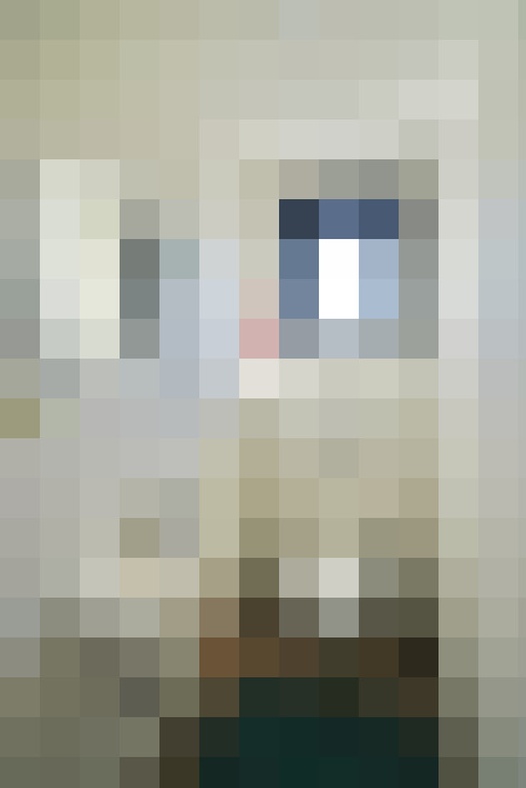  / #11