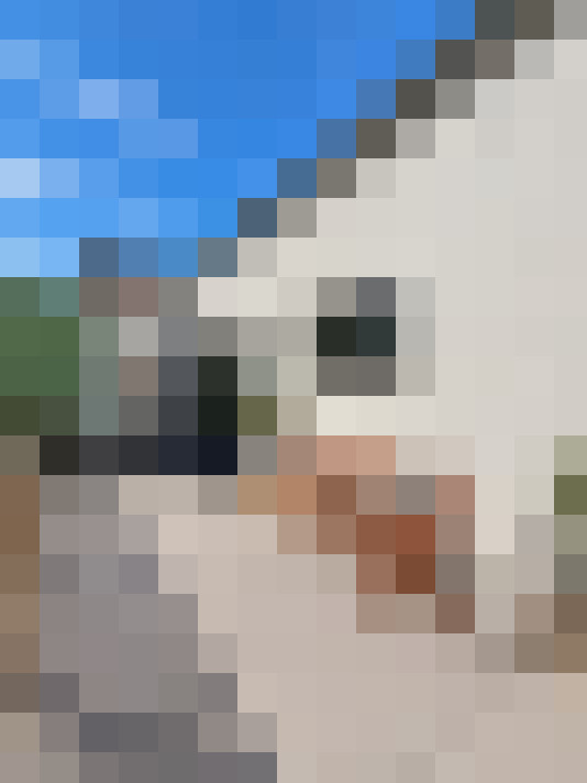  / #23