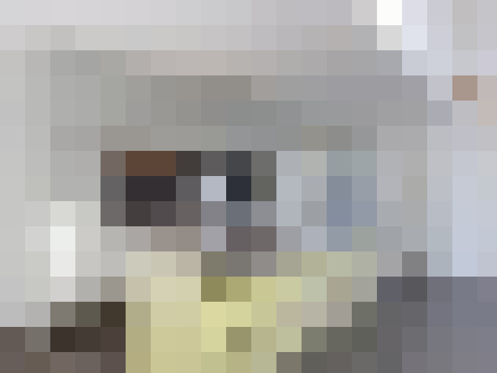  / #14