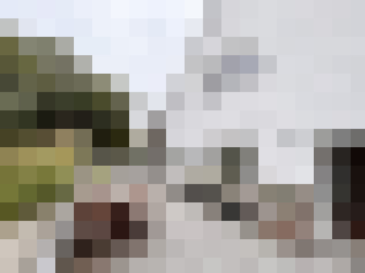  / #16
