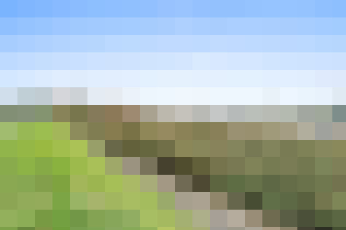  / #14