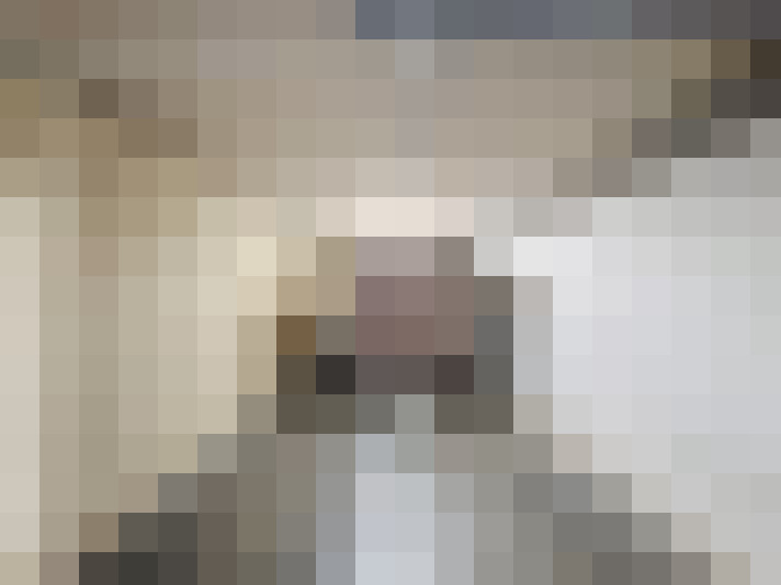  / #17