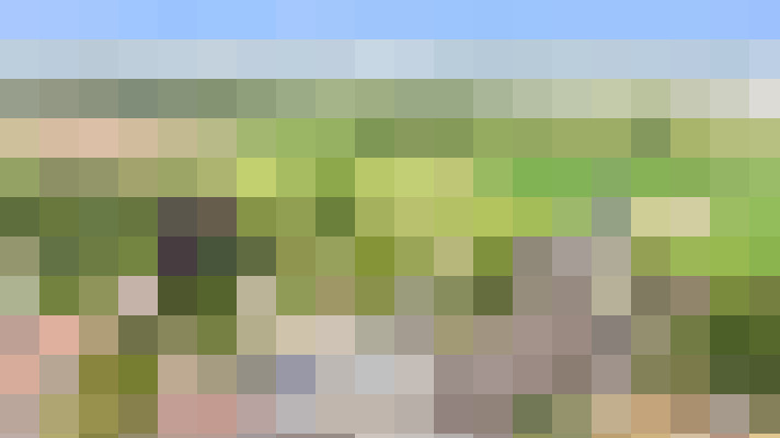  / #16