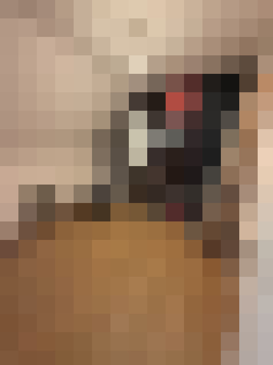  / #17