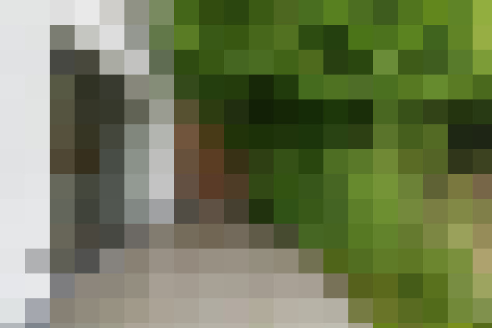  / #11