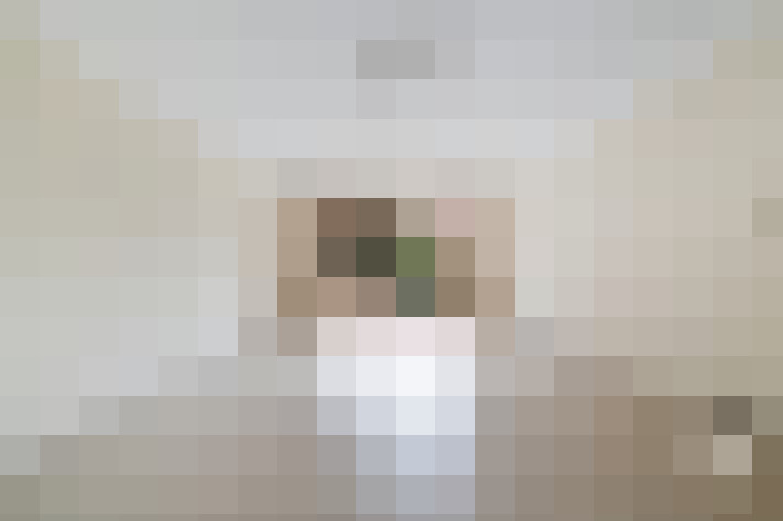  / #6