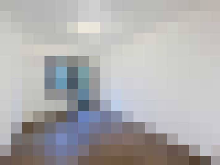  / #14