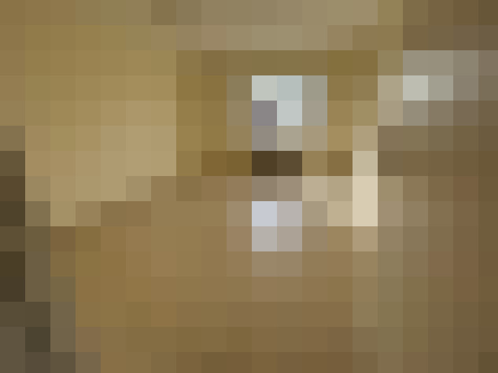  / #9