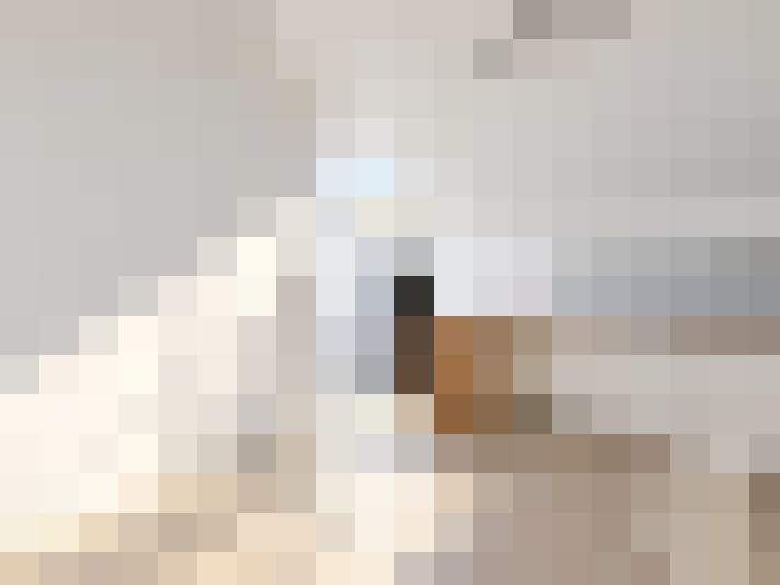  / #11