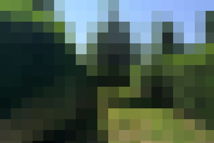  / #17