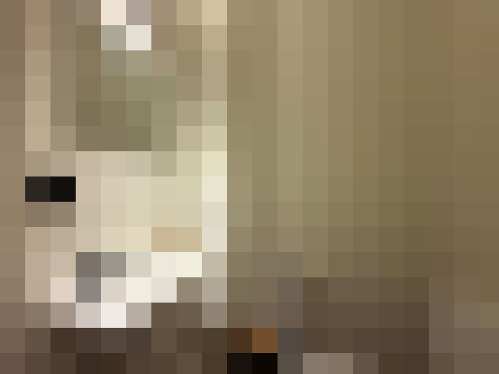  / #11
