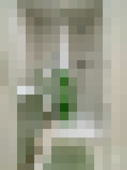  / #5