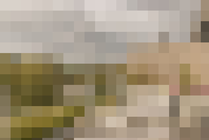  / #16