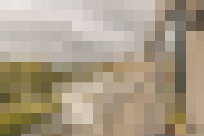  / #15