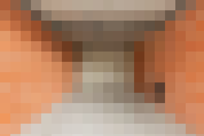  / #19