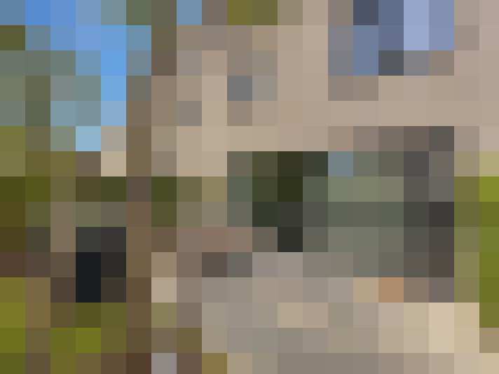 / #20