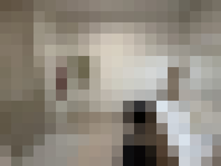  / #16