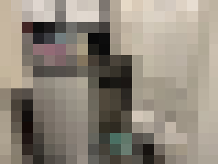  / #15
