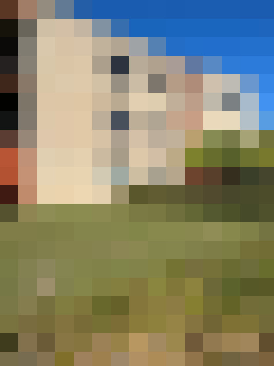  / #16