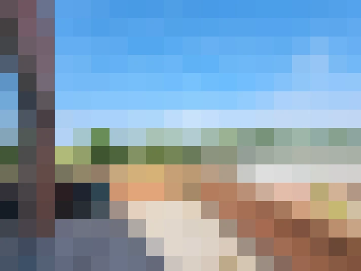  / #16
