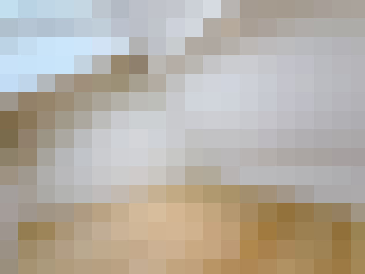  / #19