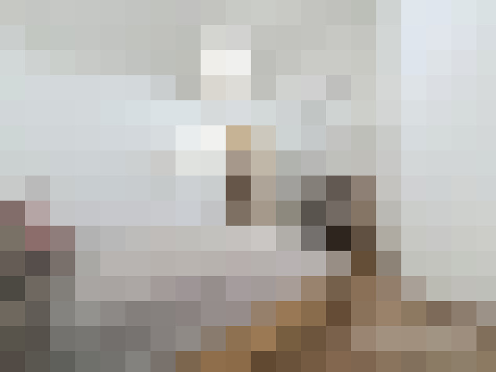  / #14