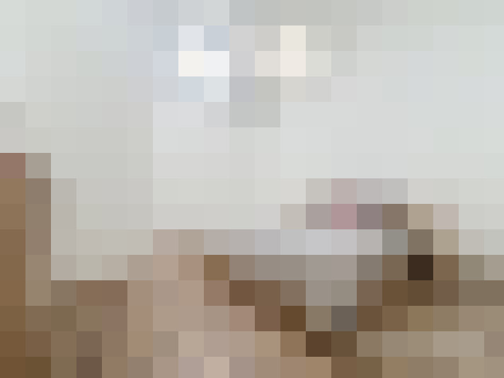  / #15