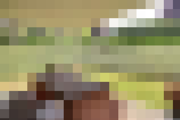  / #15