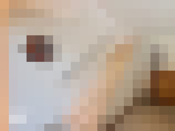  / #11