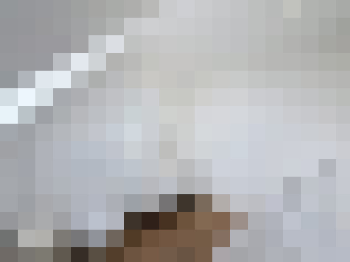 / #23