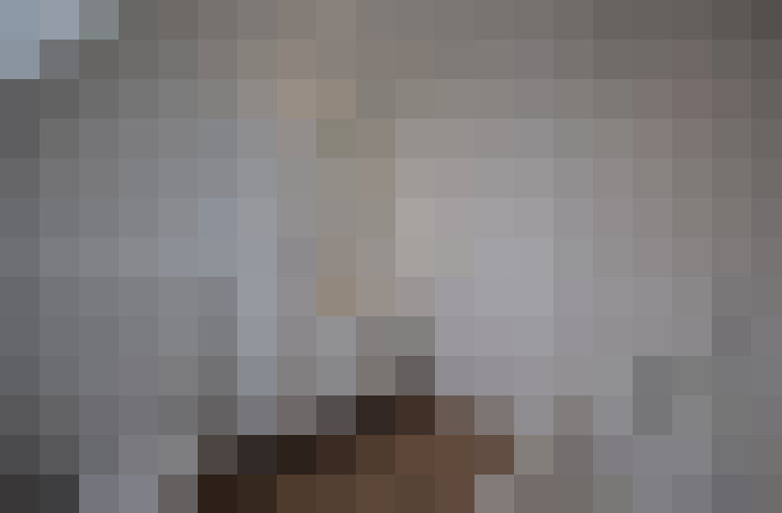  / #17