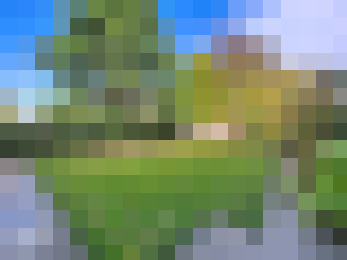  / #20