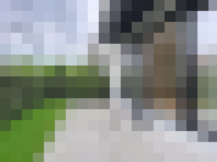  / #11