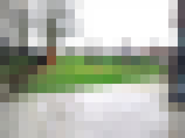  / #15