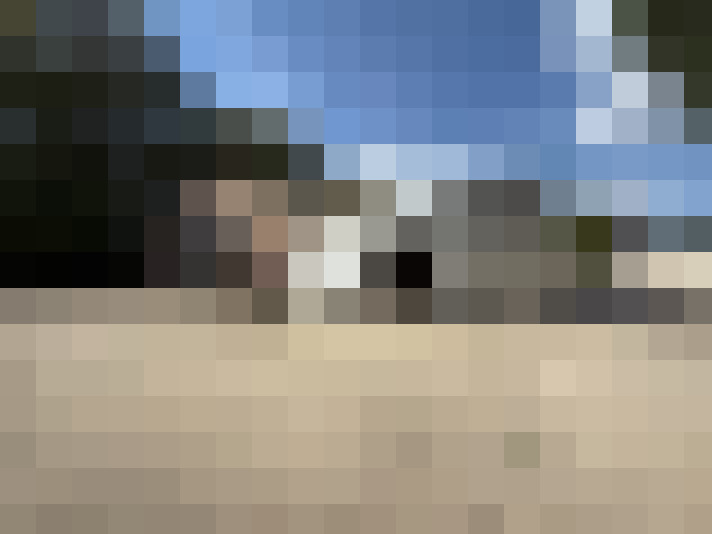 / #21
