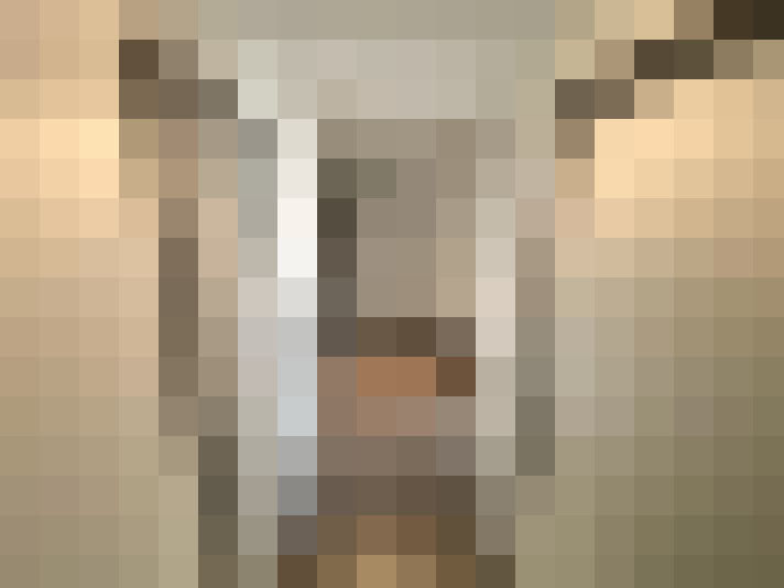  / #21
