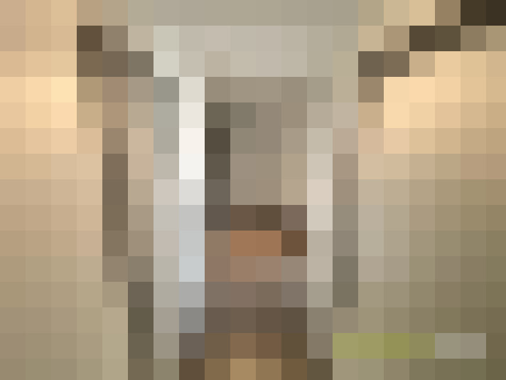  / #22