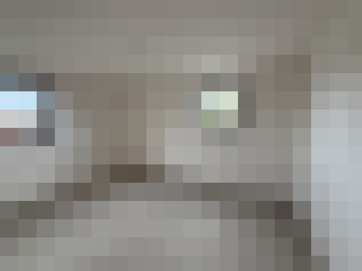  / #12