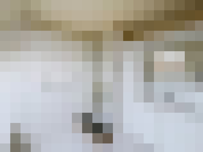  / #16