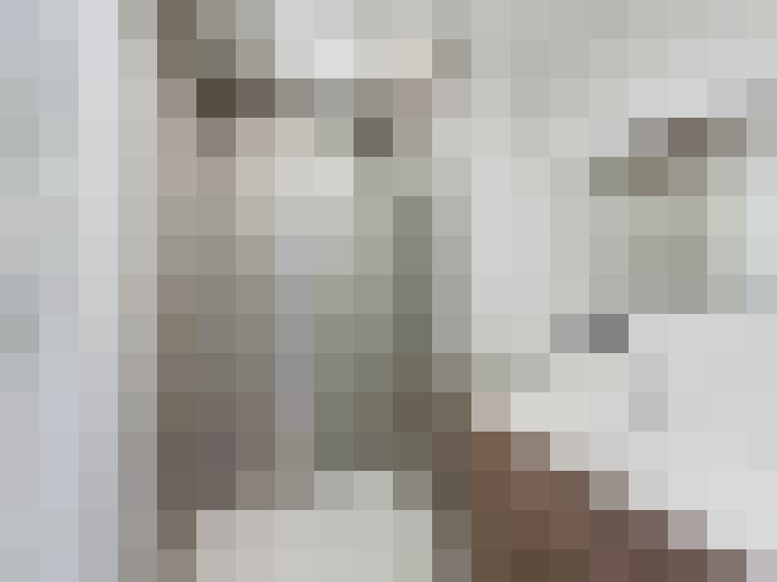  / #15