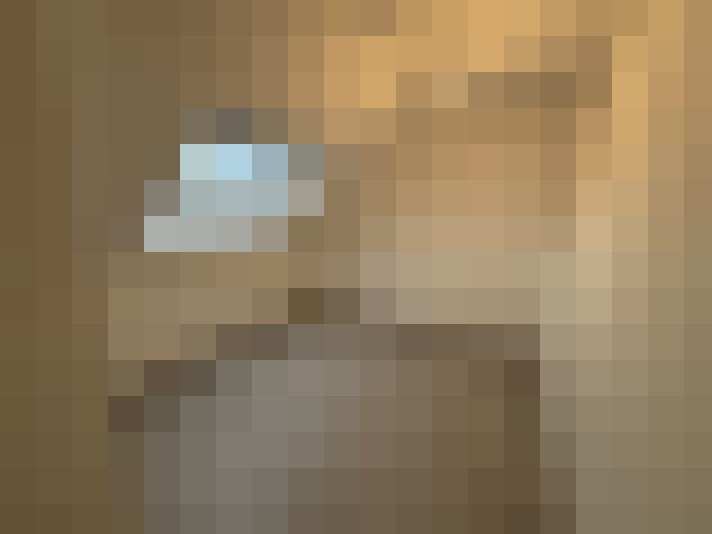  / #8
