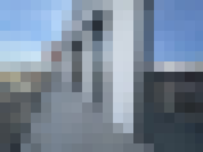  / #11